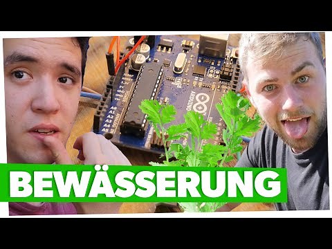 Pflanzen über Arduino automatisiert Bewässern 🚿| Marvin & Falk