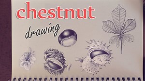on a walk on a summer day i drew under a chestnut tree. Simple sketching of a chestnut in timelapse (speed drawing) ► My Tutorials Book "The Art Of 3D Drawing": 📖 for USA - https://www.amazon.com/dp/1633221717 📖 for GB - https://www.amazon.co.uk/dp/1633221717 📖 in Italian - https://www.amazon.de/dp/8865208783 📖 in German - https://www.amazon.de/dp/3772483232 My book shows you how to create optical illusions and 3D Trick Art by breaking the process down into basic, easy-to-follow steps. -to b