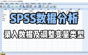 SPSS数据分析：录入数据及调整变量类型