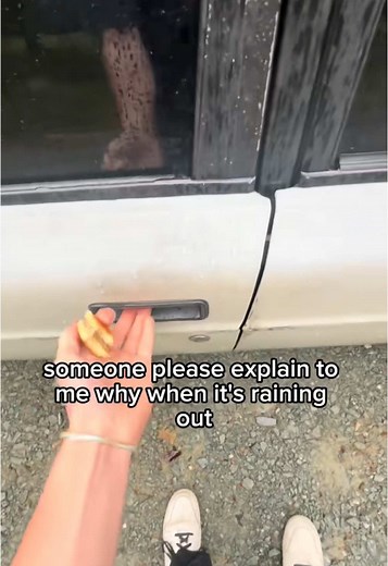 gavin._.dolan on TikTok