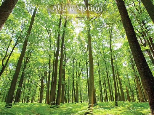 Understanding Fundamental Paper Education Concepts