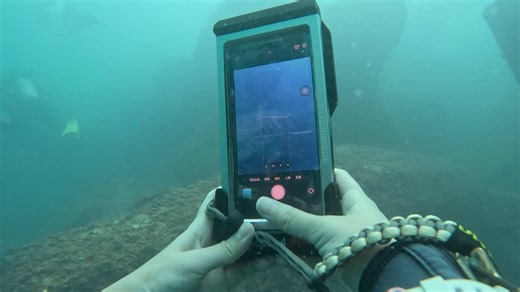 21K views · 78 reactions | 上星期我地去左東壩潛水, 直接試玩埋Divevolk 防水手機殼藍藍...