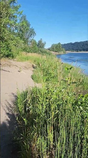 nude beach, Rooster Rock State Park in Oregon
