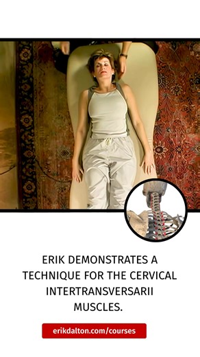 Technique: Intertransversarii Stretch The intertransversarii are small muscles found between the transverse processes of the cervical, lumbar, and some thoracic vertebrae. In the cervical region the intertransversarii comprise seven pairs of muscles that laterally flex and help stabilize the cervical spine. In this video excerpt, Erik demonstrates a stretch for the intertransversarii muscles of the cervical region. Want more video demonstrations? Check out the library of video-based courses at e