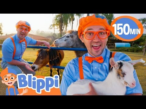 What’s It Like to Care for Zoo Animals? 🦙🐶 Blippi Visits a Pet Zoo! | Educational Videos for Kids
