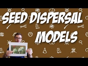 More Seed Dispersal Models