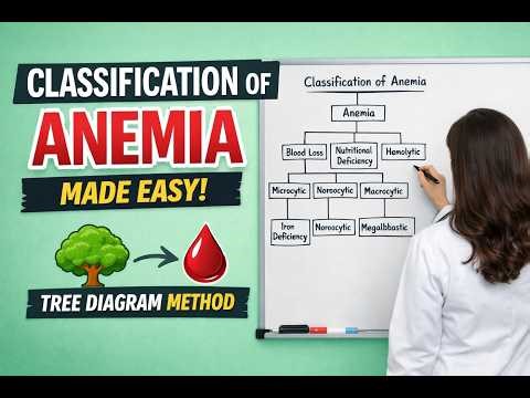 Anemia Classification Simplified | Tree Method for Students