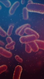 21 reactions · 27 shares | Ladies, when we say "yeast infection," you...