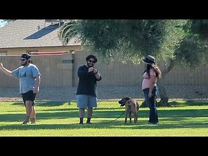 Learning to use the Sheppard Sling