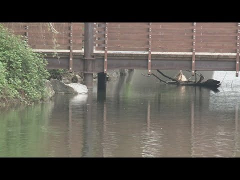 Spokane Police recover body in Spokane River at Riverfront Park Sunday afternoon