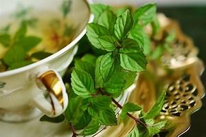 10 Content-rich Health Magazines-A Guide to Healthy Living 2020 - FlipHTML5