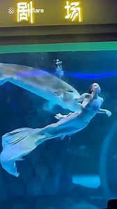 Terrifying moment mermaid performer is bitten ... arge fish during underwater show in China | The Real Take