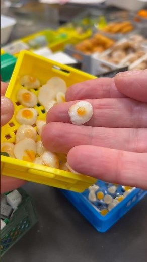 These Miniature Fried Eggs Are TOO Realistic! | Twin Heart Minis