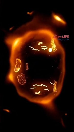 🎉 Cell division is like a never-ending dance, cells grow, replicate, and divide to create new life.