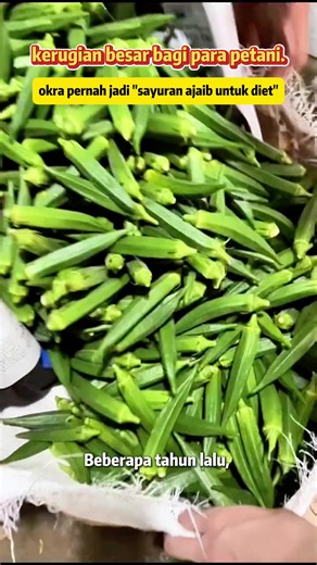 Delicious Okra Chips: Healthy Snack Recommendations