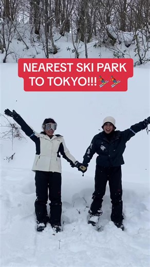 Discover Hakuba Valley: The Best Ski Spot Near Tokyo
