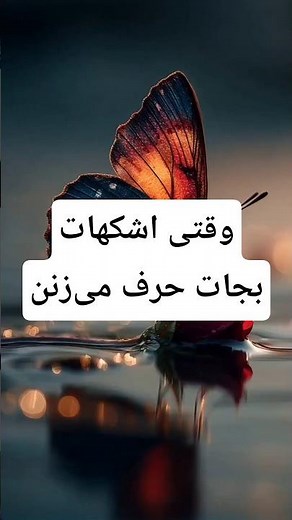 #توکل #خدا_کافیه #سوره_طلاق #دلنوشته_قرآنی #ایمان #آرامش_قلب #خدایا_تو_هستی #تقدیر_خدا #نور_ایمان