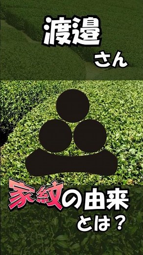 【日本文化】【家紋】渡邉さん家紋の由来とは？ #雑学 #紋身 #プチ知識 #解説 #歴史 #家紋