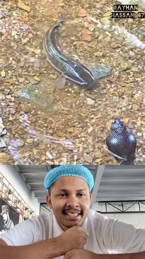 Snake and Fish prank 🤣🤣 #funnyreels #fbreels #fblifestyle #reaction #funny #reels | Rayhan Hassan 07