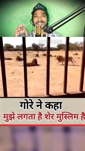 शेर के सामने सूअर, फिर जो हुआ उसे देख कर आप दंग रह जाएंगे! 🔥 ​#lion #nature #amazingfacts