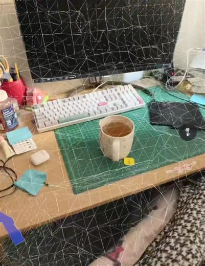 Lidar Scanning: Preserving My Space in Digital Form