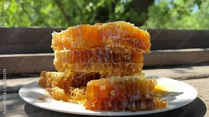 Honey dripping from honey comb on plate in nature. Thick honey dripping from honeycomb. Stream of golden thick honey flowing down on the honeycombs. Natural organic, honeycombs close up. Beekeeping