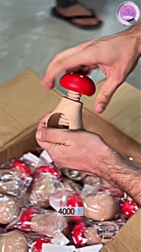 "Unboxing Wooden Nutcracker Mushroom - Nut Cracker Tool Crack Nuts Tamper | Premium European