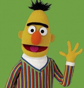 Bert (Sesame Street) ~ Everything You Need to Know with Photos | Videos