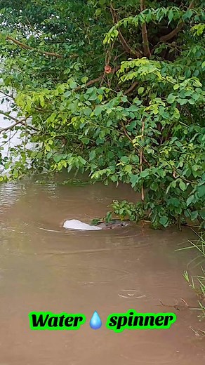 Water Spinner #spinnerbaitfishing #fbyシvideo #viralvideochallenge | Söhåïl Åkbâr