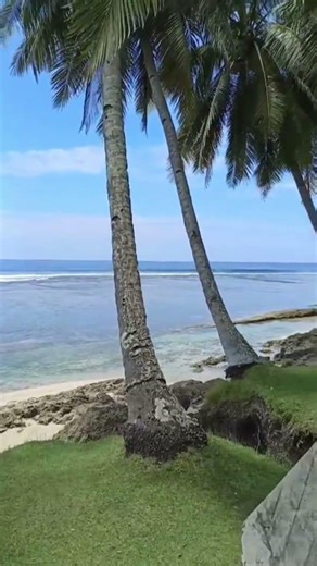 4K Cinematic Beach Scenery - Tropical Paradise Relaxation