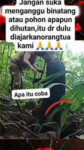 202 reactions · 7 comments | Berhati hatilah di manapun kita berada jaga adab dan akhlak yang baik. #pengikut #sorotan #jangkauanluas #fyp #fbpro #interaksi #monetisasi #rell #vidio #berita #lakas #viral #semuaorang | Gumi Jaya Copy | Facebook