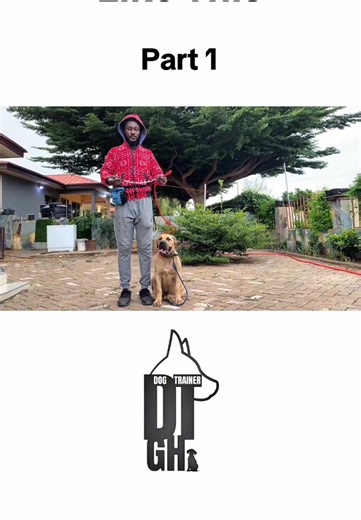 Walking Your Dog: Building a Strong Bond