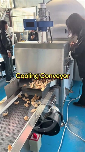 How Shrimp Chips Are Made | Automatic Secondary Puffing Line