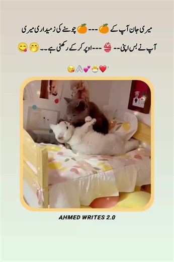 Touqeer Writes — Ahmed Writes 2.0 | Sawal Touqeer SM