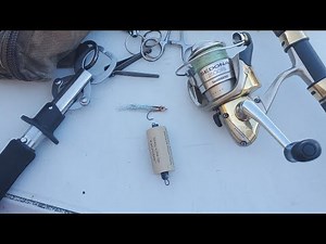 Pier J Long Beach Bonito on the splasher and lite spinning rod