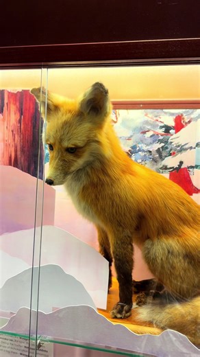 📍Cable, Wisconsin