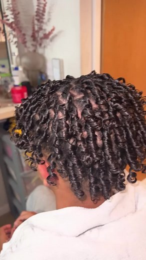 Starter Locs Guide for 2C/3A Hair: Tips & Styles