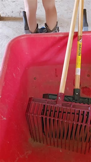 6.6K views · 16 reactions | Baby wait for it  | Ella Anderson | Facebook