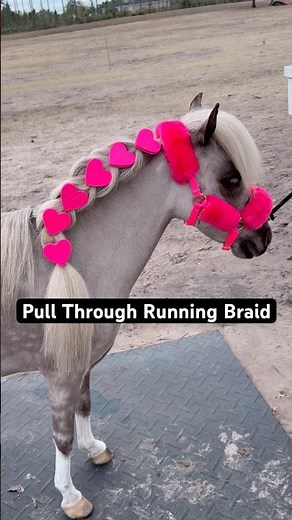 EASY Braid for your Horse