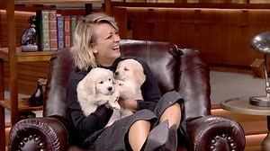 Jimmy and Kaley Cuoco Sweeting face off in a trivia game where the winner of each round gets a puppy to snuggle. | The Tonight Show Starring Jimmy Fallon