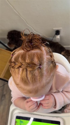 Beautiful Princess Hair Tutorial for Toddlers