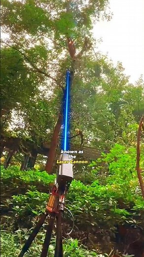 Cutting trees with Powerful Laser.