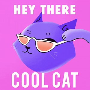Cool Cat - GIPHY Clips
