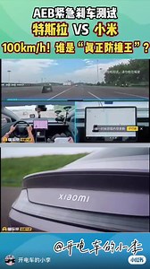 Tesla AEB test in China against other brands. AEB saves lives! | Jianchun Xu