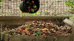 Organic waste falling from a bucket into a compost pit. Bio-waste recycling. Compost bin with organic waste. Bio food waste composting bin. Biodegradable material, organic recycling concept