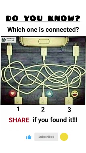 👉 Can You Solve This Puzzle? Which Cable is Connected? 🔌📱