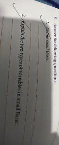 E. Answer the following questions.Define small Basic.•Explai... | Filo