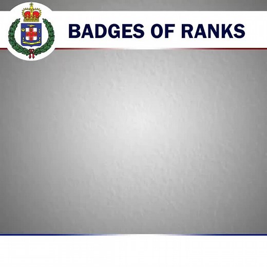 Badges de Rangs dans la Jamaica Constabulary Force
