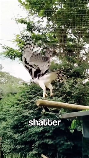 3.2K views · 19 reactions | Fascinating Animal Facts Will Blow Your Mind! | Random Facts In The World | Facebook