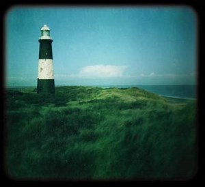 Blue Roses - Blue Roses | Album | AllMusic